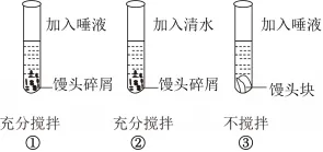 2026年中考生物一模试卷 第3张
