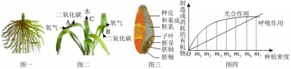 2026年中考生物一模试卷 第9张