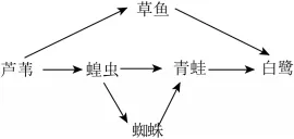 2026年中考生物一模试卷 第11张