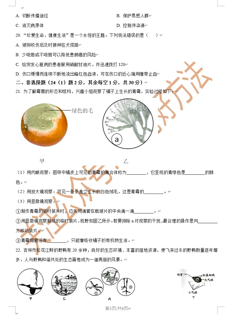 【备战二模】2025吉林市二模生物真题 第5张