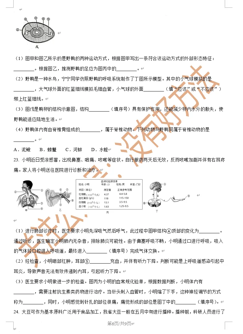 【备战二模】2025吉林市二模生物真题 第6张