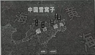 2025—2026JY九年级地理中考模拟试题(二)及答案 第10张