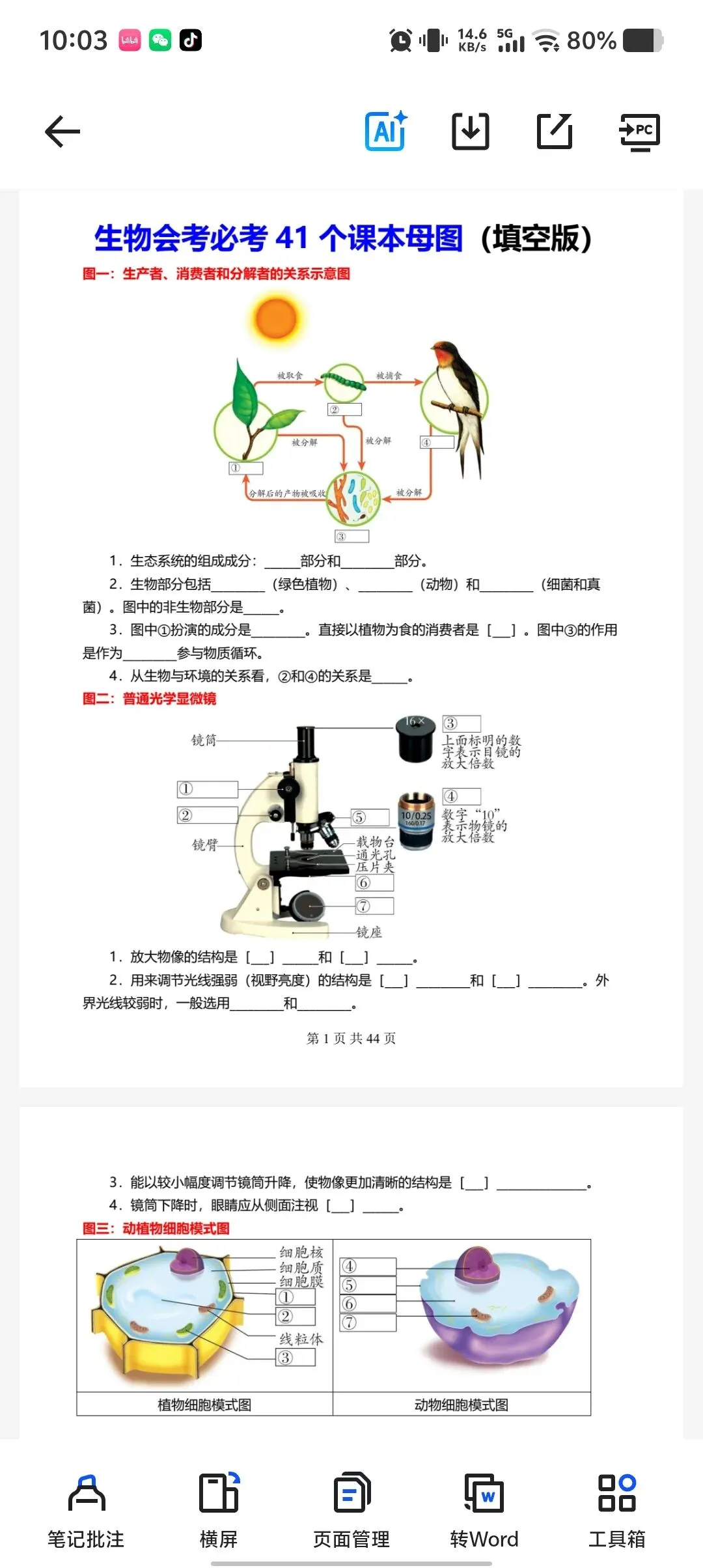 【26年中考】生物课本母图填空 第2张