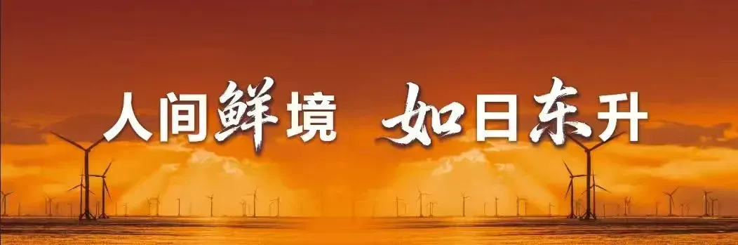 南通2026年中考时间确定! 第8张
