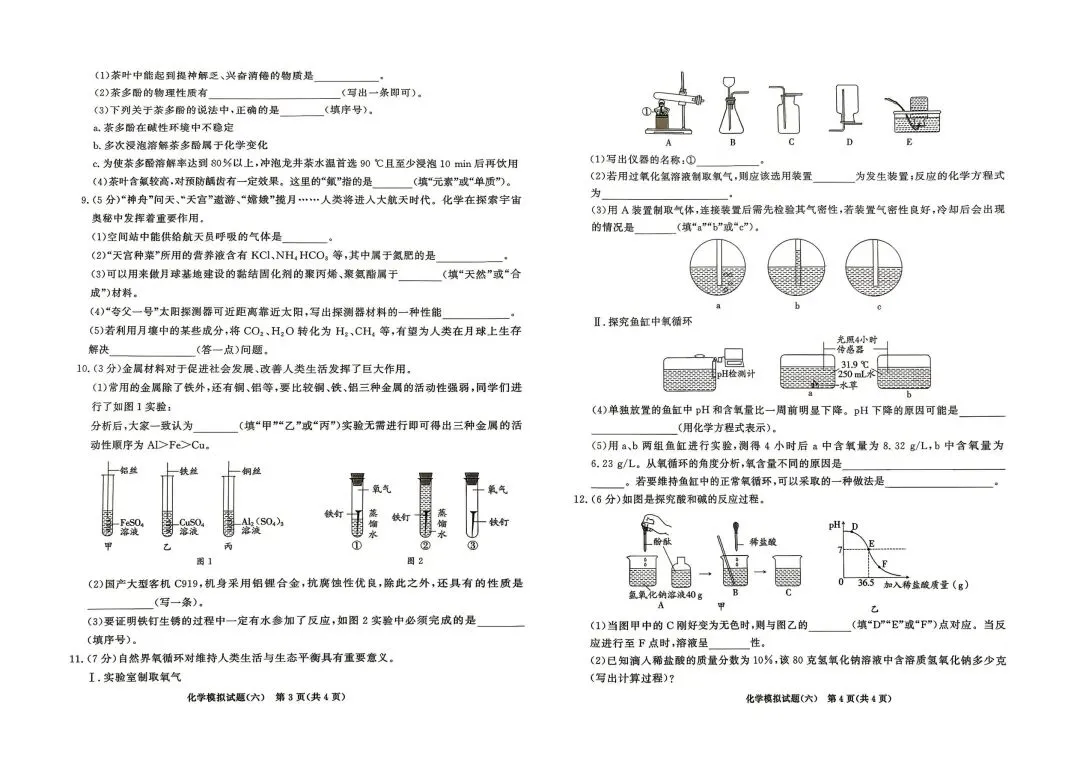 2026中考化学模拟卷(六) 第2张