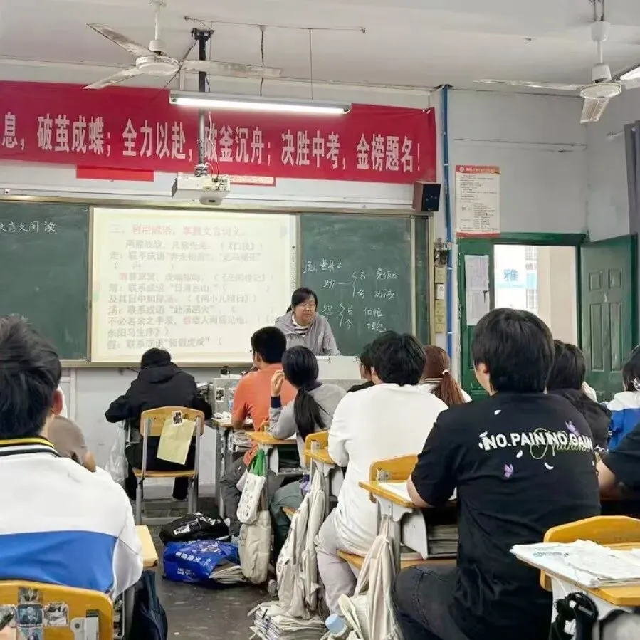 精研复习课堂 聚力中考备考——双凤片区开展初三中考复习教研活动 第11张