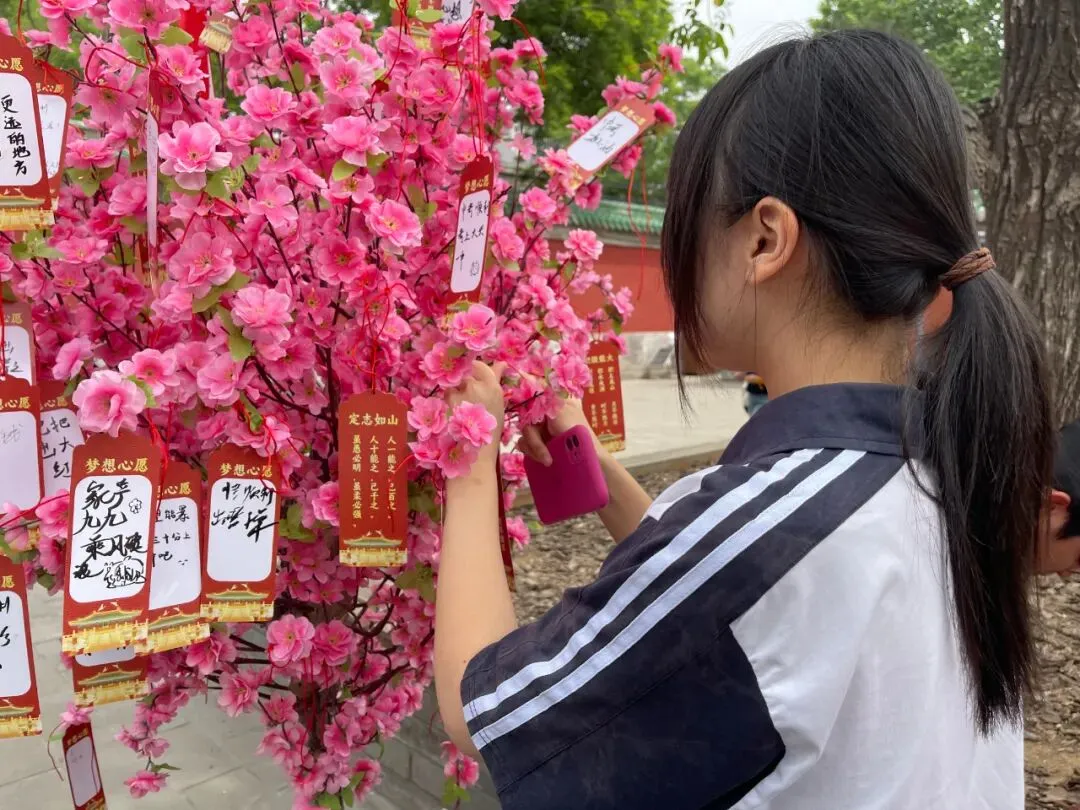 家国传薪怀师恩 砺行拼搏赢中考——旧宫中学举行初三年级先农坛庆成宫誓师大会 第58张