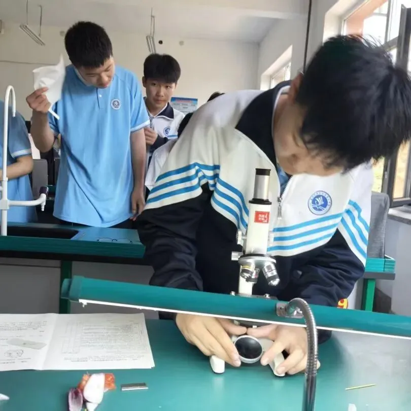 (第68期)练习生物实验 助力中考提分(二) 第24张