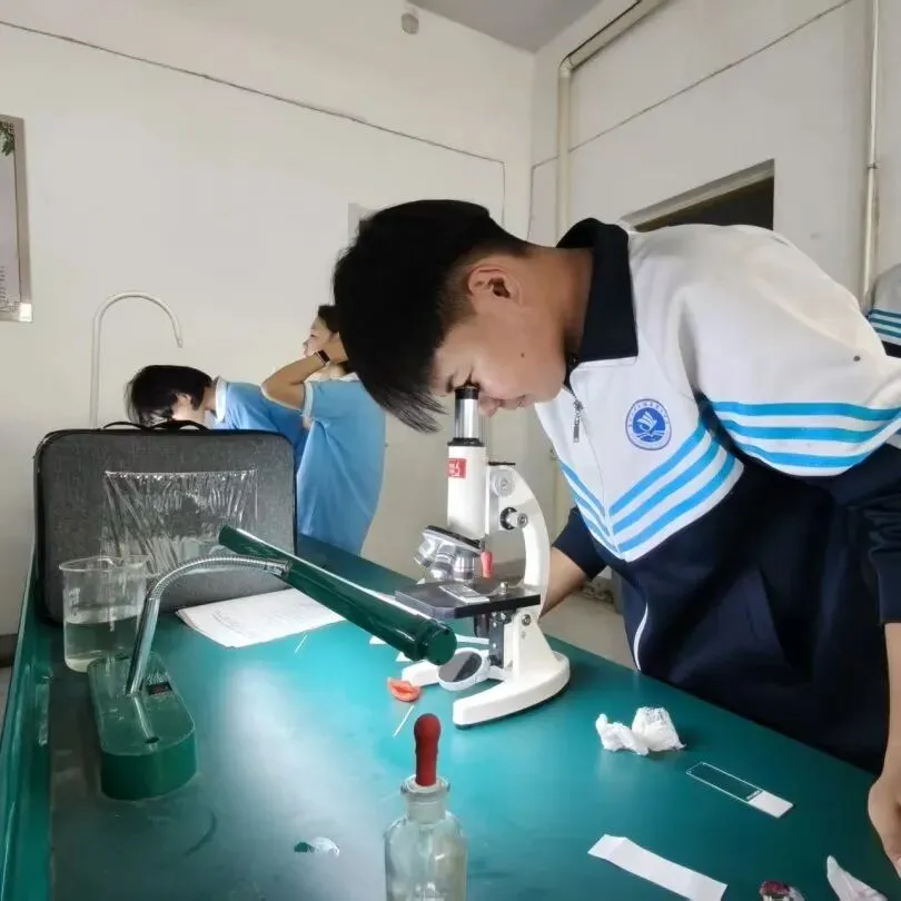 (第68期)练习生物实验 助力中考提分(二) 第34张