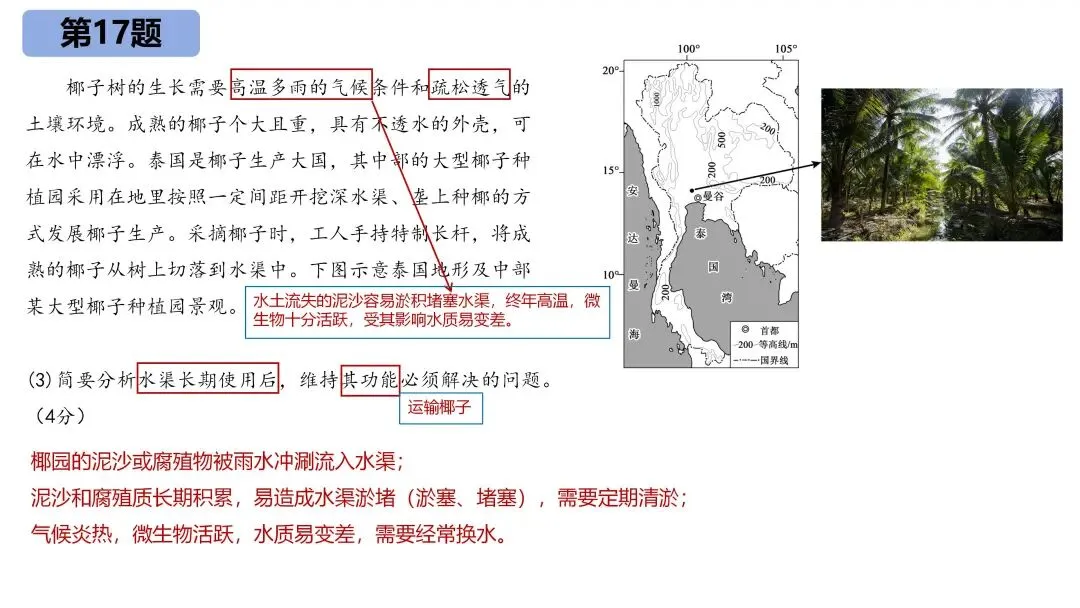 【真题解析】——2025年地理高考广西卷 第17张