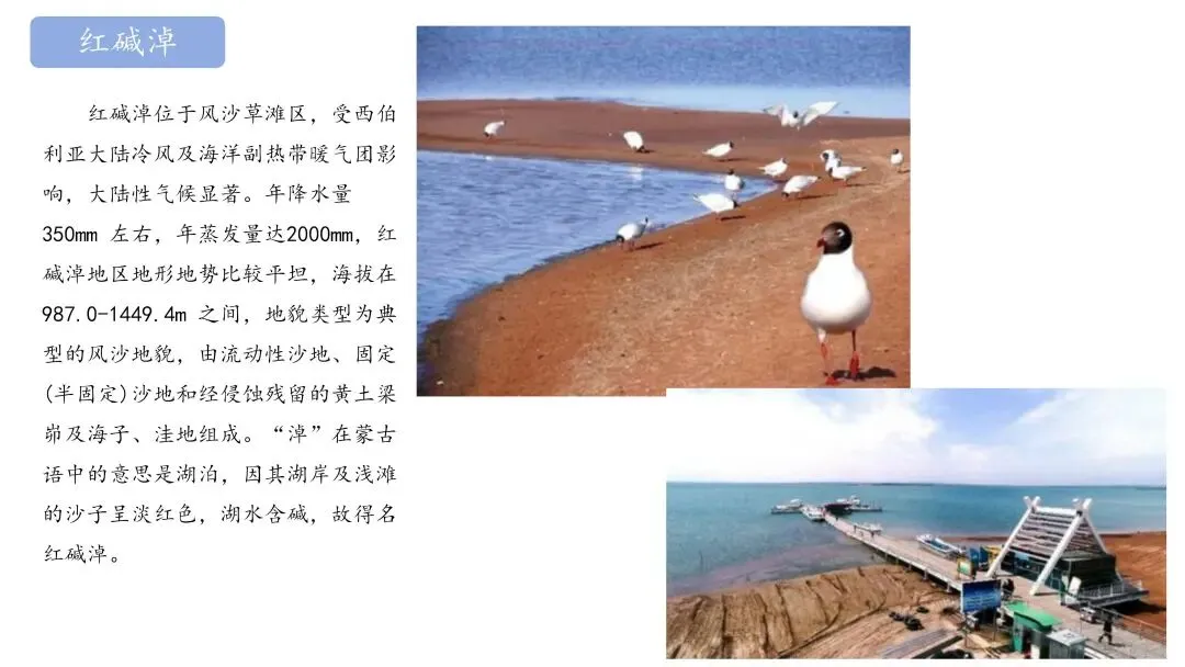 【真题解析】——2025年地理高考广西卷 第25张