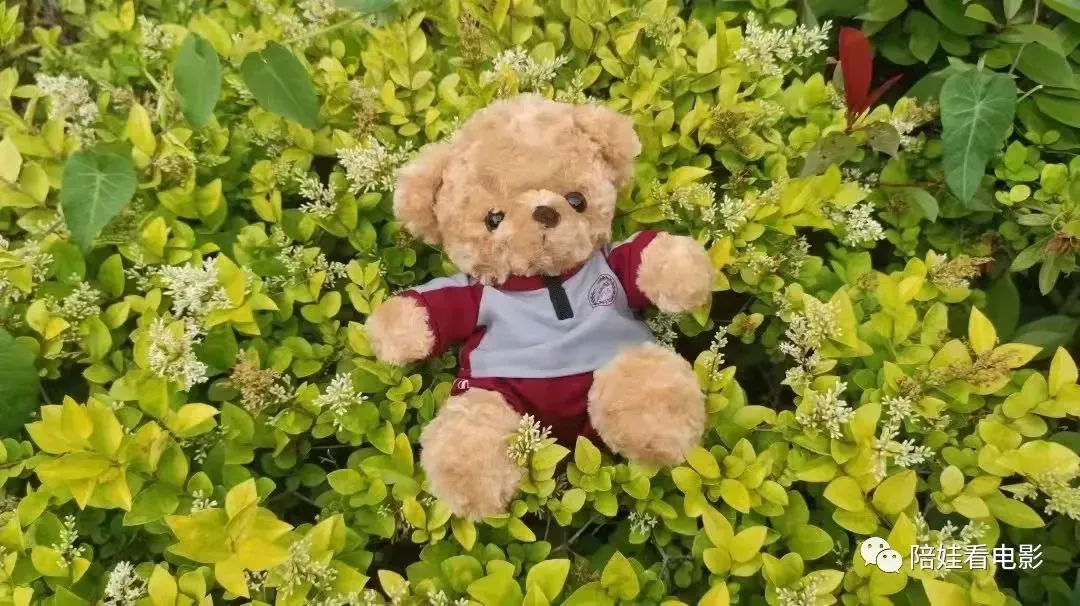 还有一个多月中考,家长陪普娃可以做的四件事 第1张