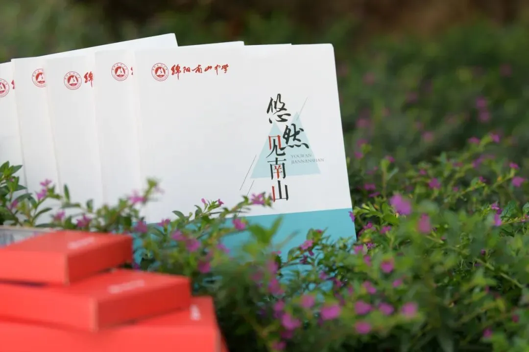 中考倒计时30天|南山学子专属冲刺秘籍,助你从容应战! 第10张