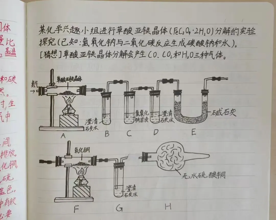 马上就要中考了,我儿子还在“不务正业”…… 第11张