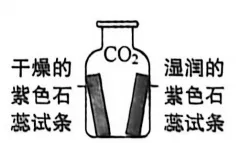 洛阳2026年中招化学模拟试卷(一) 第6张 洛阳2026年中招化学模拟试卷(一) 第6张