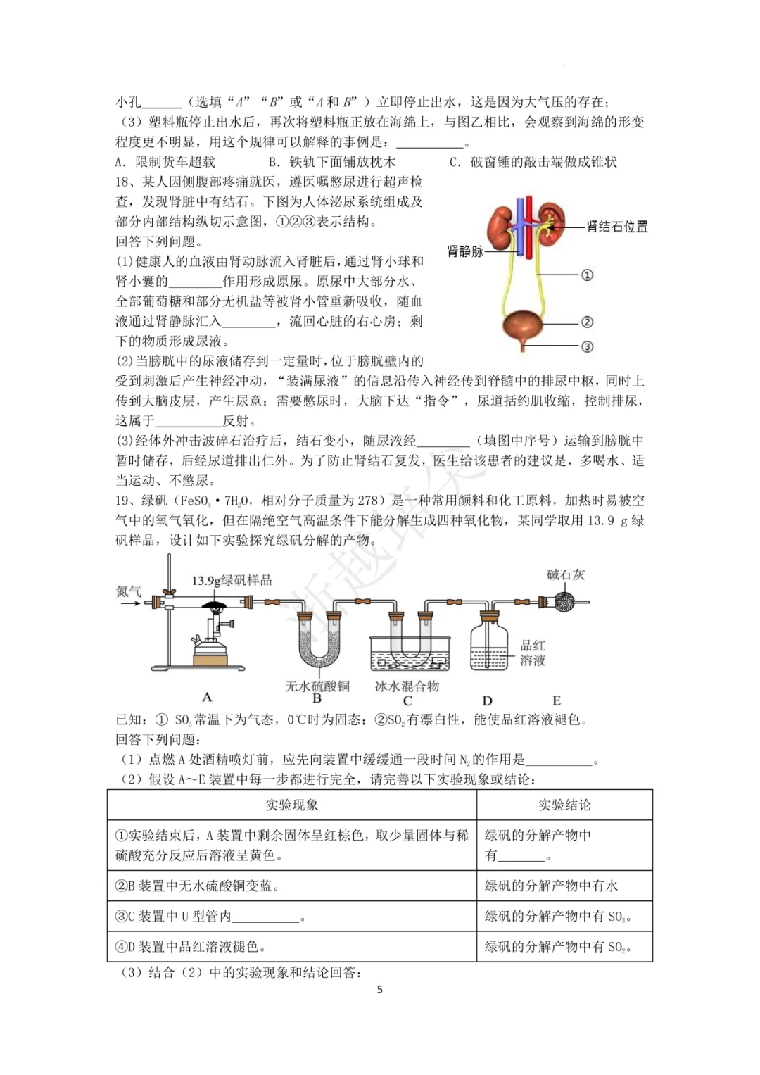 2025年浙江省宁波市重点中学提前招生考试科学模拟卷(3-5) 第21张