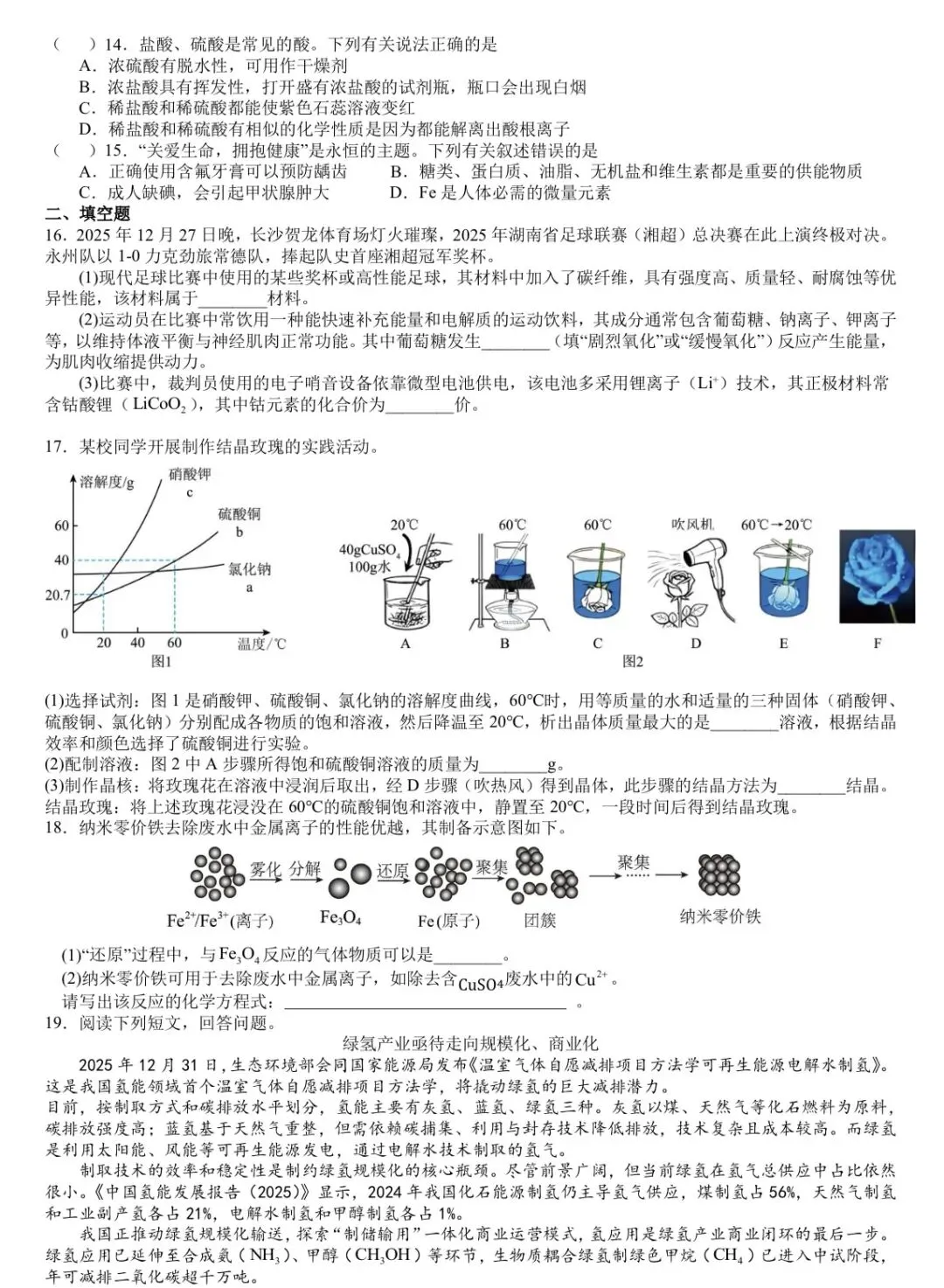 2026年湖南中考模拟化学卷(长郡集团校九年级期中联考改编) 第3张