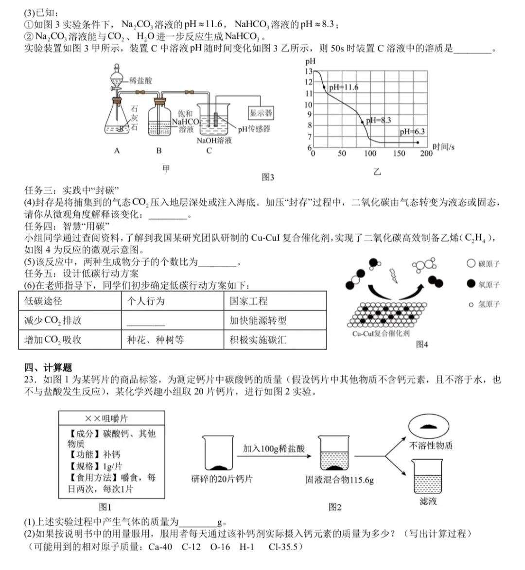 2026年湖南中考模拟化学卷(长郡集团校九年级期中联考改编) 第5张