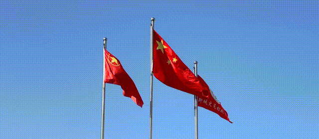 直播预告 | 2026聊城中考志愿填报政策解读直播来了!一城四区高中全解析,学生家长必看! 第1张