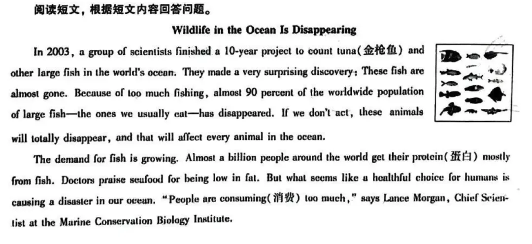我亲自做了中考英语试卷,懵圈了! 第8张