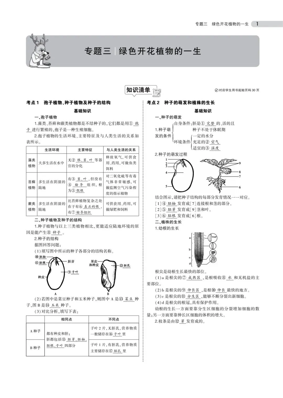 初中全科目《中考总复习 专题知识要点》PDF电子版(可下载打印)语文/数学/英语/物理/化学/地理/生物/历史/道德与法治 第8张