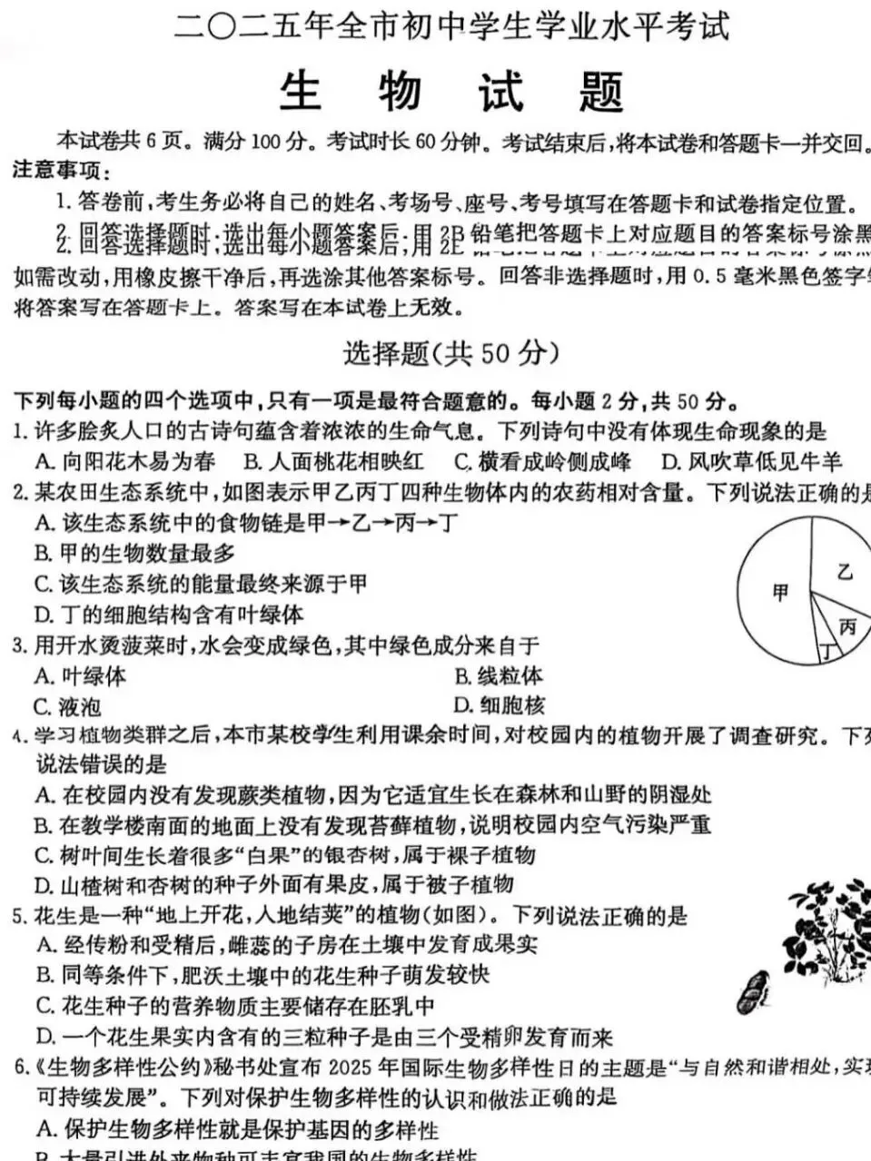 山东中考复习没方向?2025真题及答案来了 第2张
