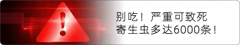 2026宁波市中考中招,考试与成绩发布都比去年早一天 第5张 2026宁波市中考中招,考试与成绩发布都比去年早一天 第5张