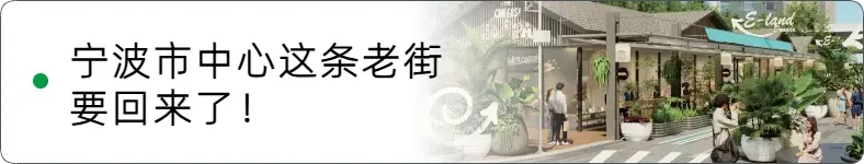 事关中考中招!宁波市教育局最新政策解答 第7张