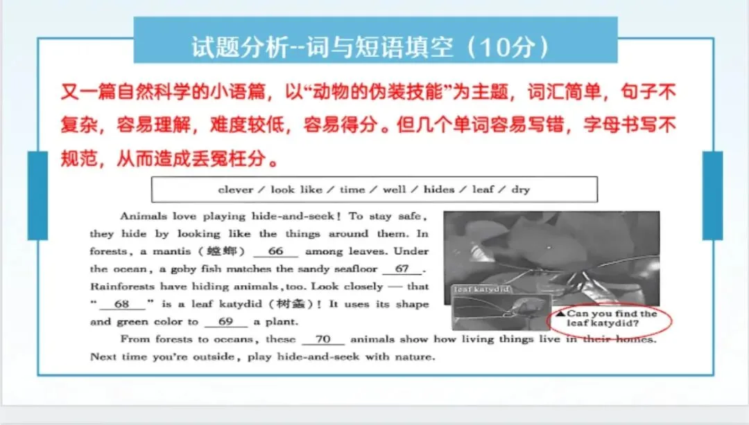四调试卷分析及复习建议 第9张
