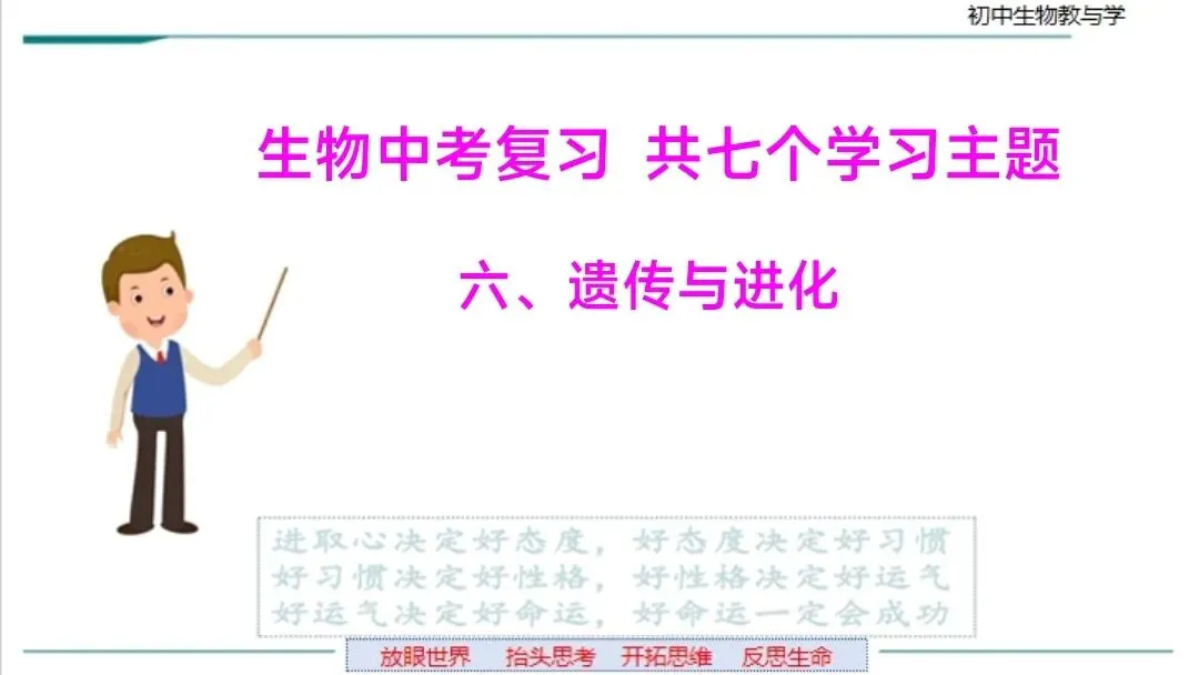 生物中考二轮复习pptx课件(共7个主题4个专项,包括思维导图、复习建议、典型例题、特训) 主题六 遗传与进化 第2张