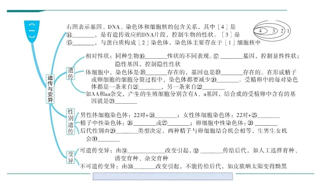 生物中考二轮复习pptx课件(共7个主题4个专项,包括思维导图、复习建议、典型例题、特训) 主题六 遗传与进化 第4张