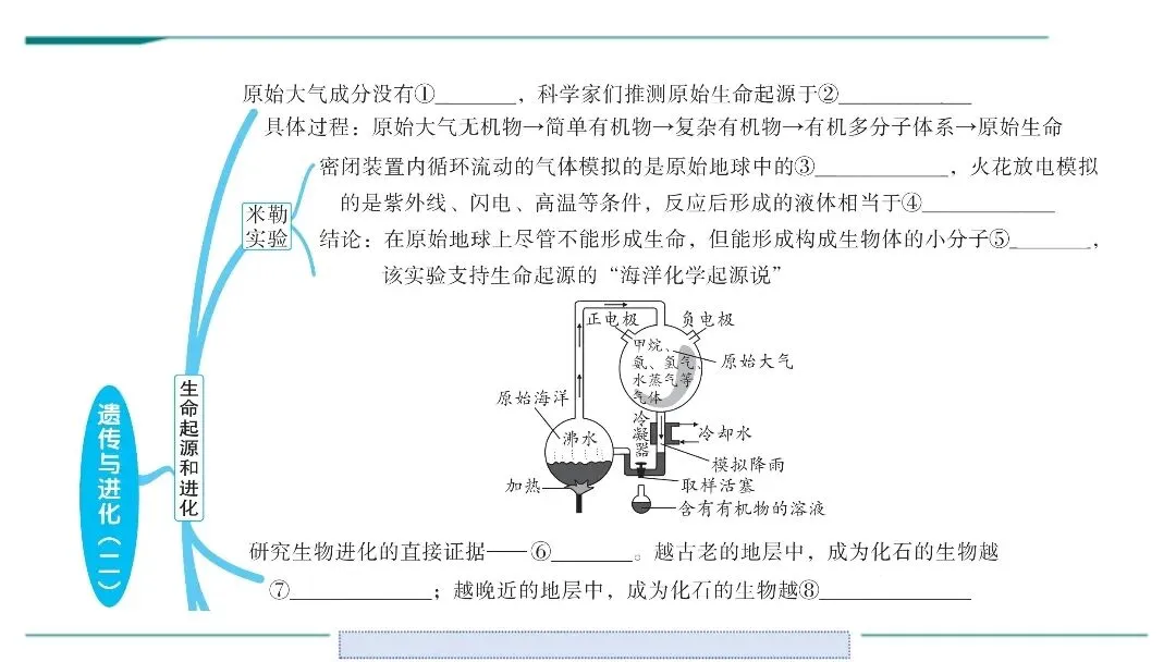 生物中考二轮复习pptx课件(共7个主题4个专项,包括思维导图、复习建议、典型例题、特训) 主题六 遗传与进化 第5张