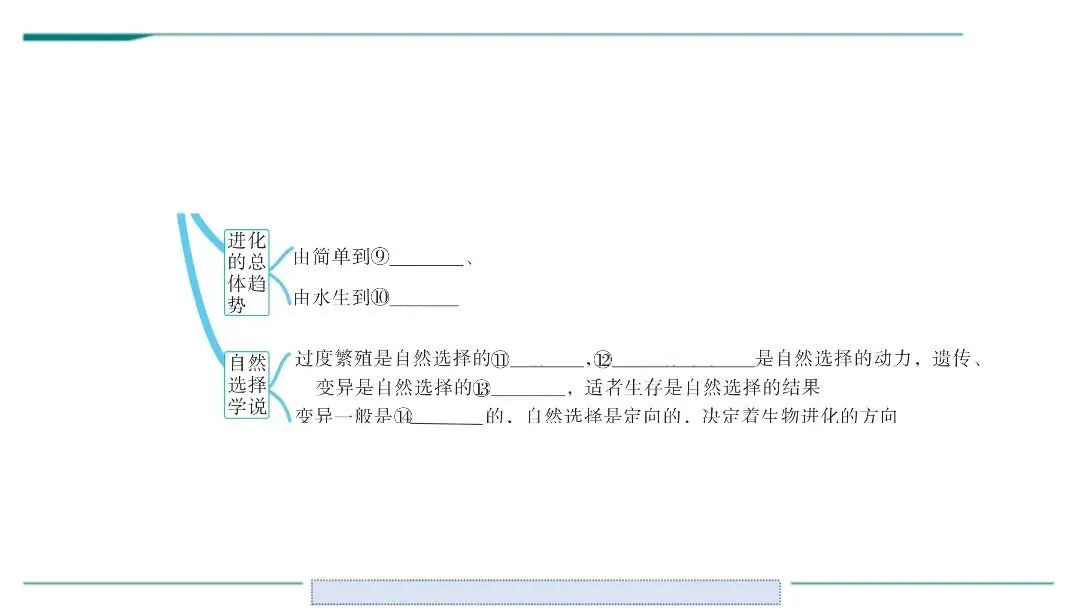 生物中考二轮复习pptx课件(共7个主题4个专项,包括思维导图、复习建议、典型例题、特训) 主题六 遗传与进化 第6张