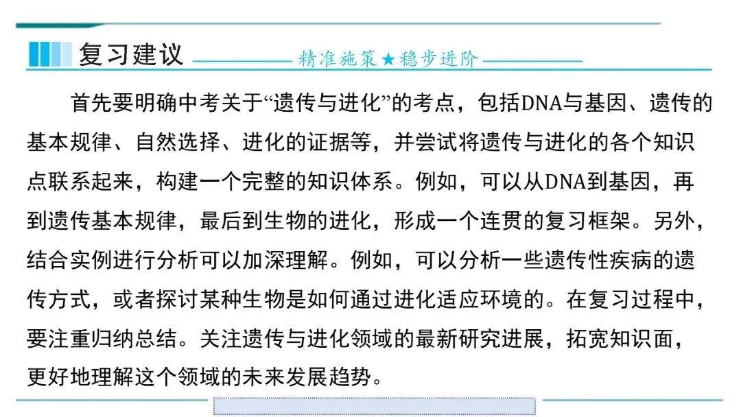 生物中考二轮复习pptx课件(共7个主题4个专项,包括思维导图、复习建议、典型例题、特训) 主题六 遗传与进化 第7张