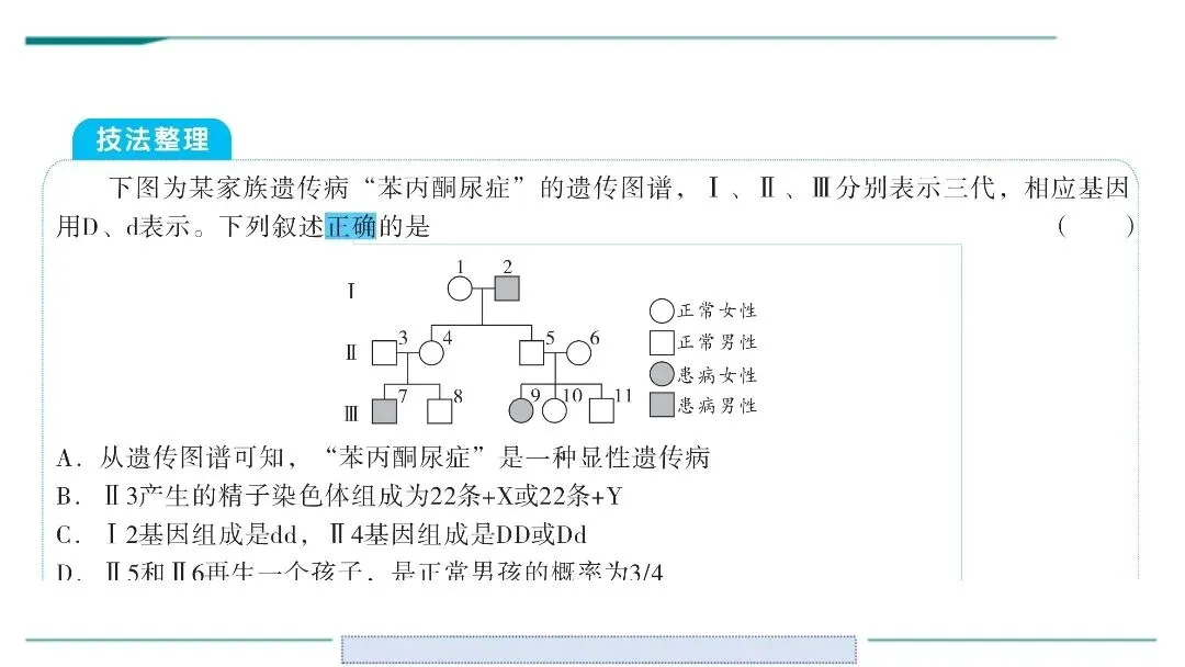 生物中考二轮复习pptx课件(共7个主题4个专项,包括思维导图、复习建议、典型例题、特训) 主题六 遗传与进化 第8张