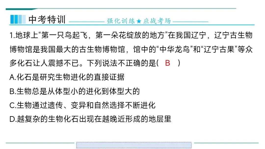 生物中考二轮复习pptx课件(共7个主题4个专项,包括思维导图、复习建议、典型例题、特训) 主题六 遗传与进化 第10张