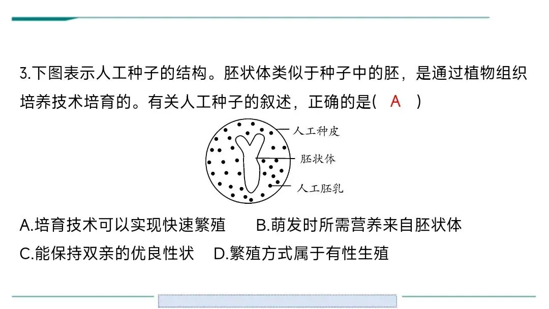 生物中考二轮复习pptx课件(共7个主题4个专项,包括思维导图、复习建议、典型例题、特训) 主题六 遗传与进化 第12张
