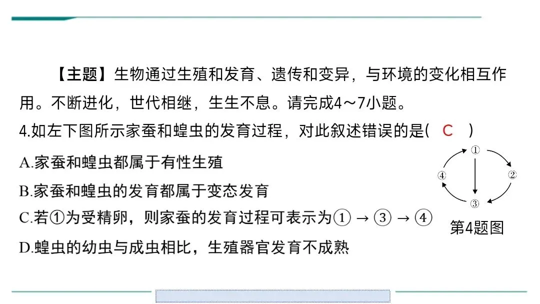 生物中考二轮复习pptx课件(共7个主题4个专项,包括思维导图、复习建议、典型例题、特训) 主题六 遗传与进化 第13张
