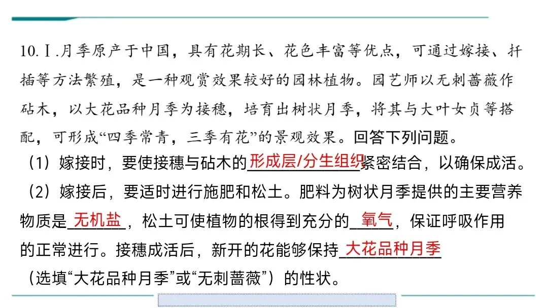 生物中考二轮复习pptx课件(共7个主题4个专项,包括思维导图、复习建议、典型例题、特训) 主题六 遗传与进化 第16张