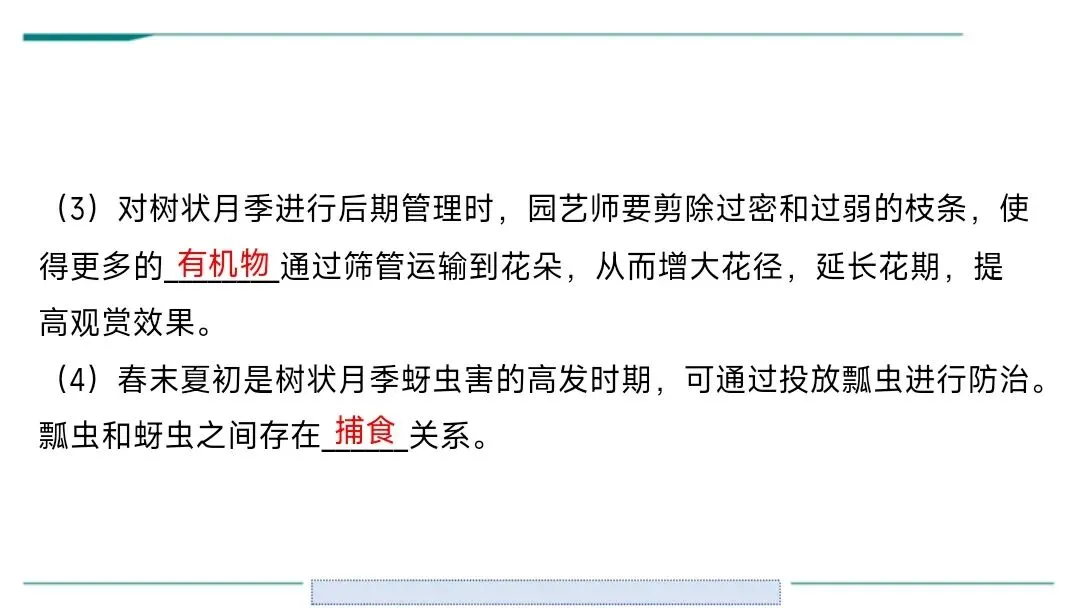 生物中考二轮复习pptx课件(共7个主题4个专项,包括思维导图、复习建议、典型例题、特训) 主题六 遗传与进化 第17张