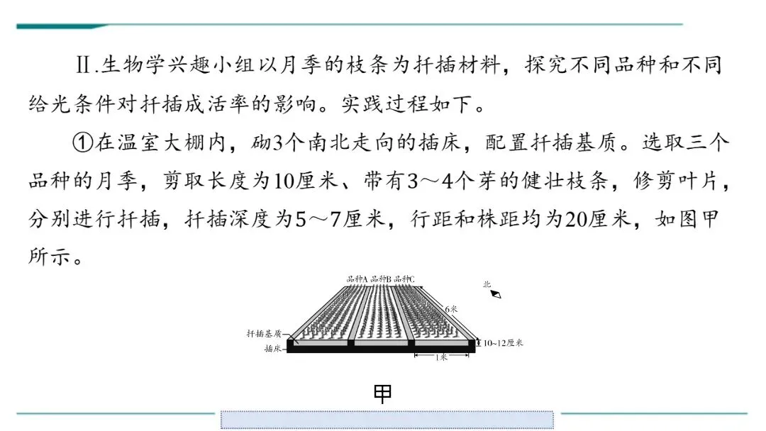 生物中考二轮复习pptx课件(共7个主题4个专项,包括思维导图、复习建议、典型例题、特训) 主题六 遗传与进化 第18张