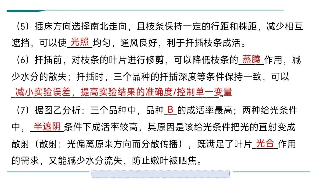 生物中考二轮复习pptx课件(共7个主题4个专项,包括思维导图、复习建议、典型例题、特训) 主题六 遗传与进化 第20张