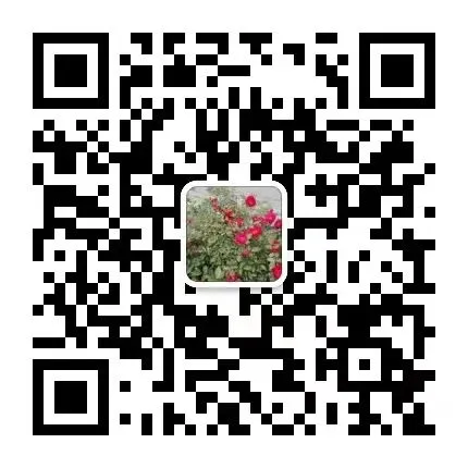 示范引领明方向,精准复习备中考 第77张