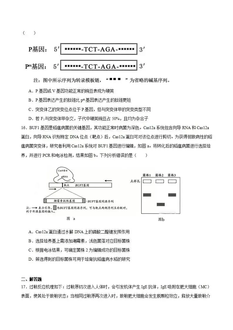 《高中试卷》广东省佛山市2026届高三下学期普通高中教学质量检测(二)生物(含答案) 第7张 《高中试卷》广东省佛山市2026届高三下学期普通高中教学质量检测(二)生物(含答案) 第7张