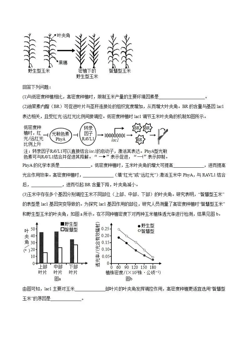 《高中试卷》广东省佛山市2026届高三下学期普通高中教学质量检测(二)生物(含答案) 第9张 《高中试卷》广东省佛山市2026届高三下学期普通高中教学质量检测(二)生物(含答案) 第9张