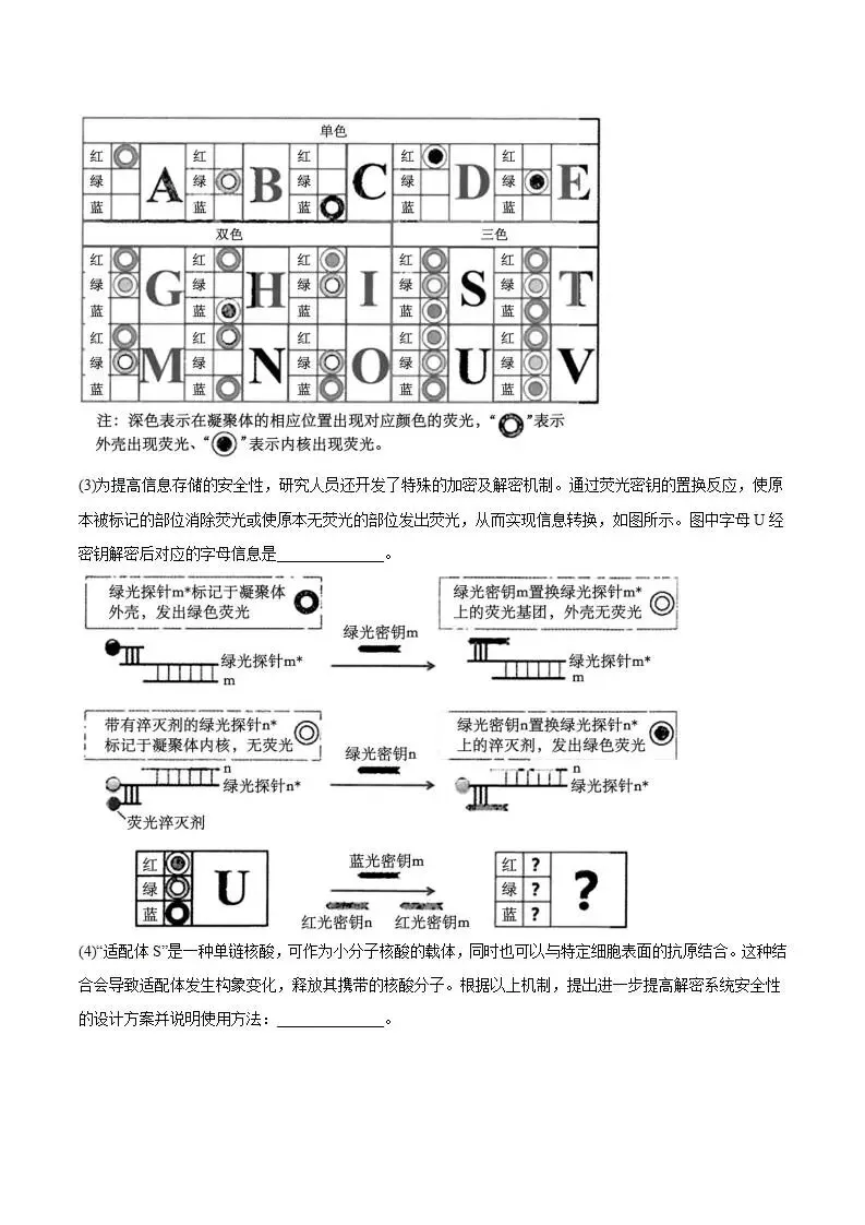 《高中试卷》广东省佛山市2026届高三下学期普通高中教学质量检测(二)生物(含答案) 第13张 《高中试卷》广东省佛山市2026届高三下学期普通高中教学质量检测(二)生物(含答案) 第13张