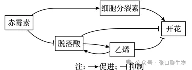 山东省潍坊市2026届高考第二次模拟考试生物学答案及解析 ⊙ 第5张