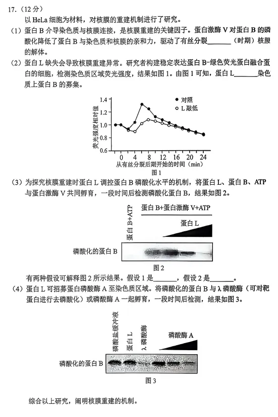 北京西城区高三二模生物学试卷(2026.5) 第6张