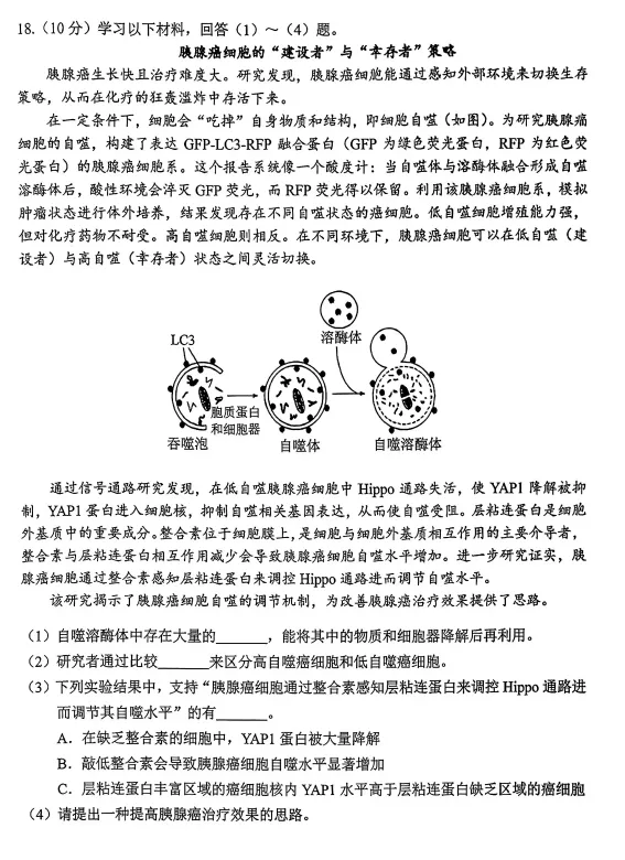 北京西城区高三二模生物学试卷(2026.5) 第7张
