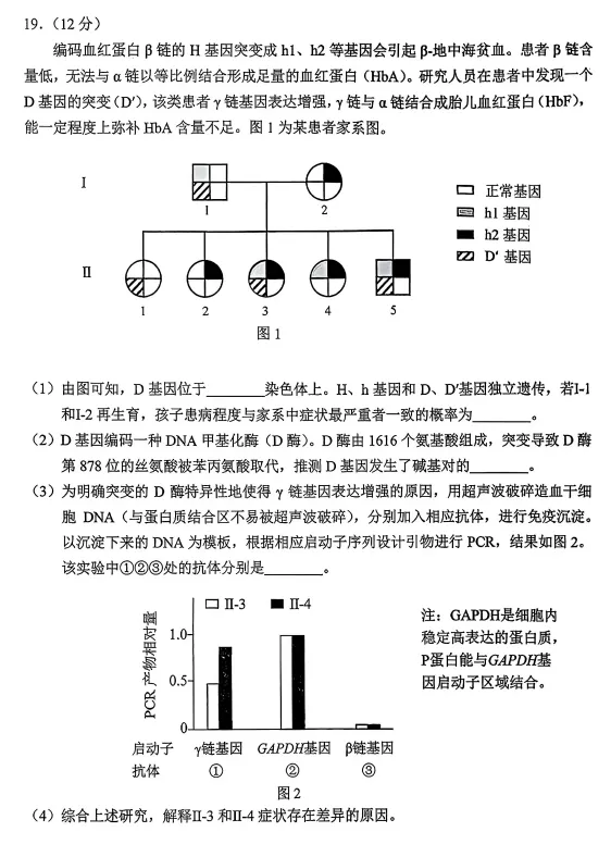 北京西城区高三二模生物学试卷(2026.5) 第8张